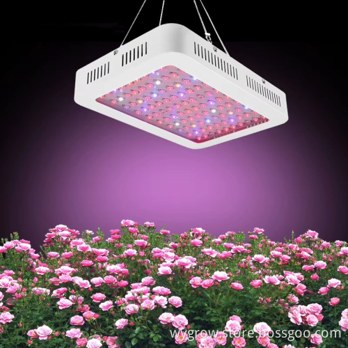 600W Grow Light Red Blue Lighting